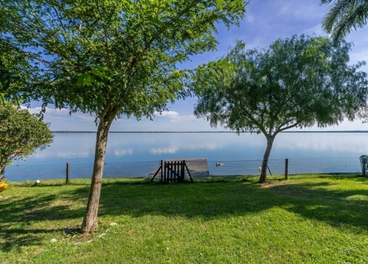 Vista exterior con árbol y lago al fondo, Casa Orillas Lago Rapel